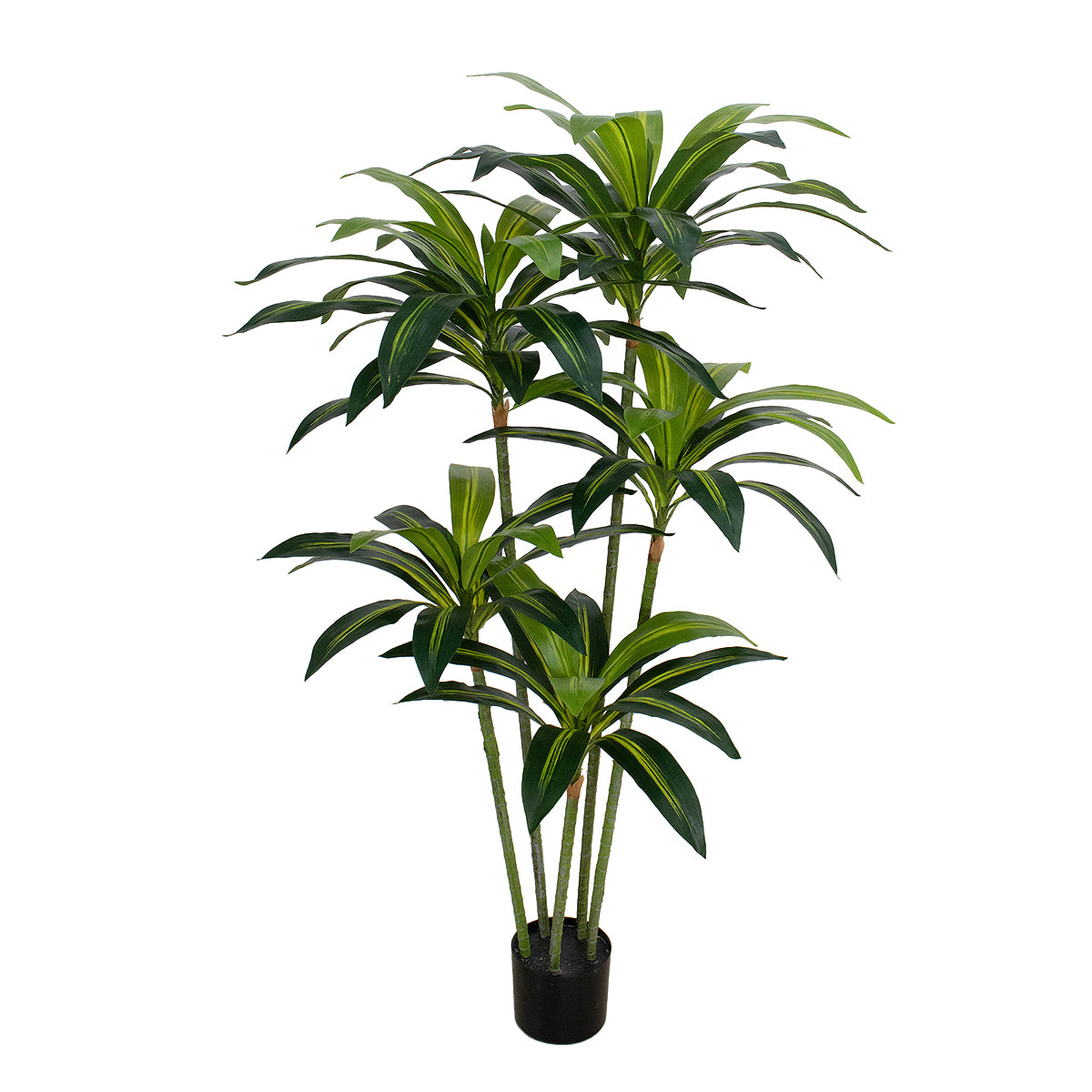 Artificial Dracaena Tree - Realistic Faux Plant| Multiple Sizes Available