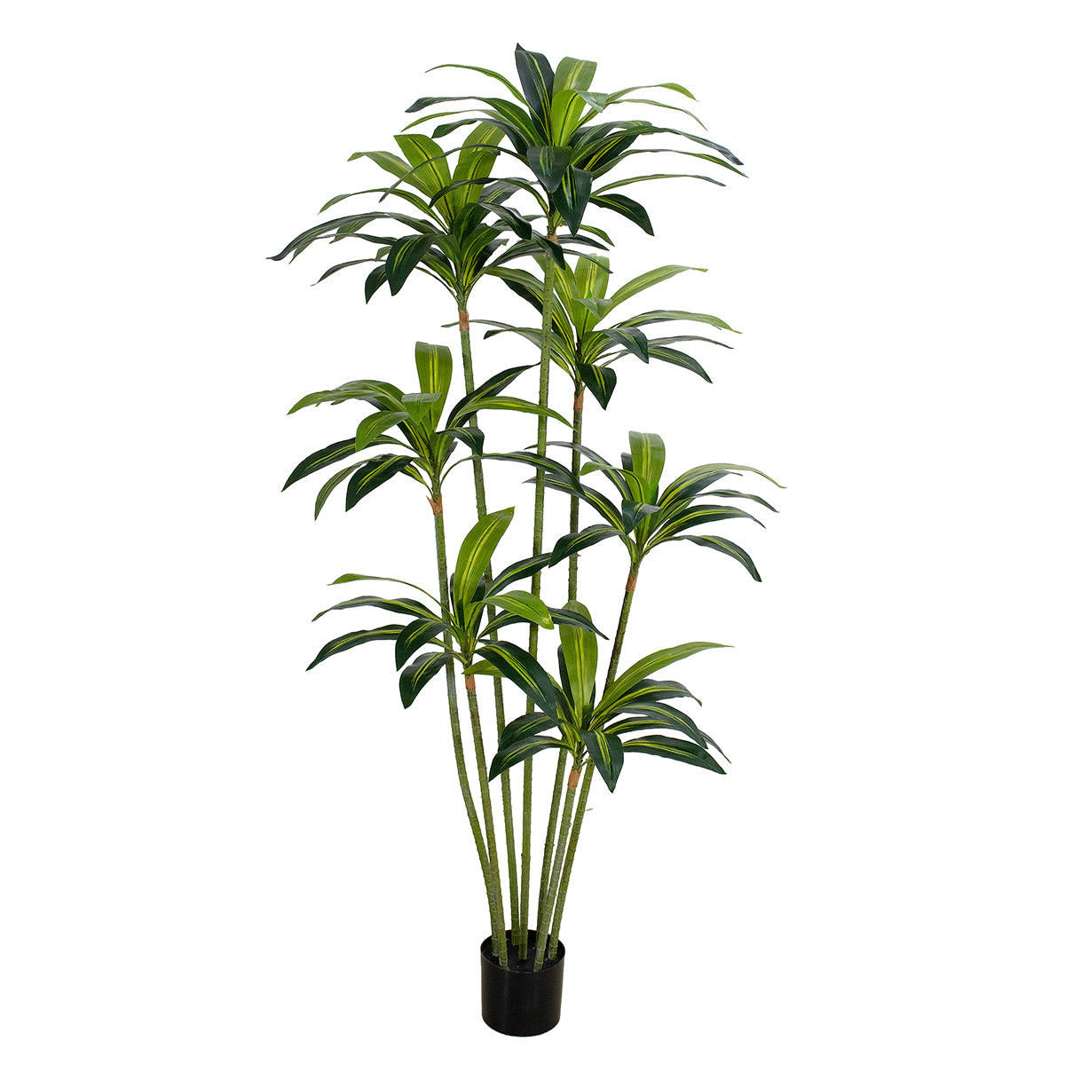 Artificial Dracaena Tree - Realistic Faux Plant| Multiple Sizes Available