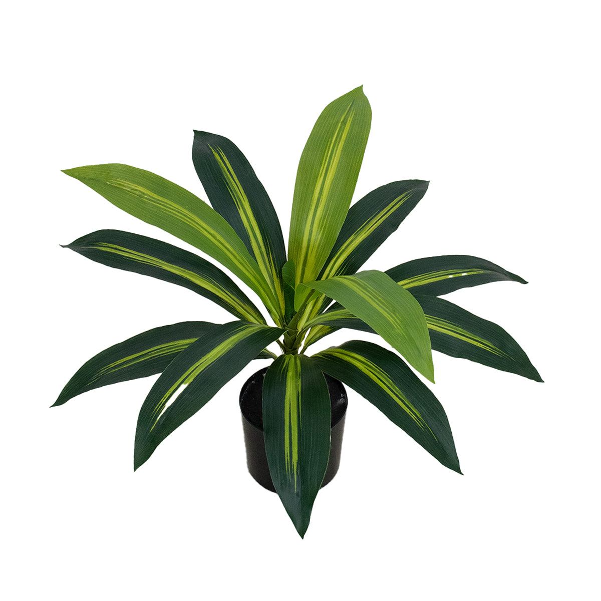 Artificial Dracaena Tree - Realistic Faux Plant| Multiple Sizes Available