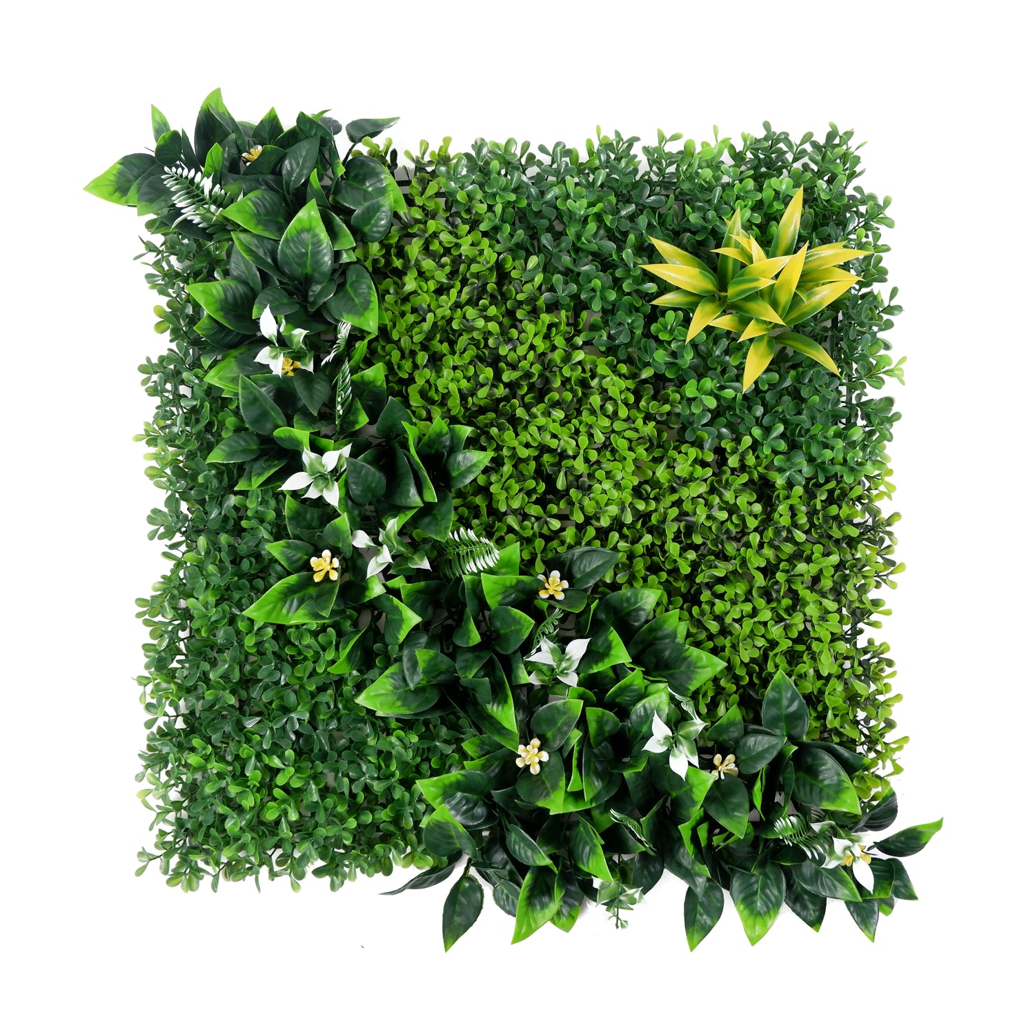 20*20 inch/50*50 cm - Customizable Artificial Plant Walls - UV Resistant